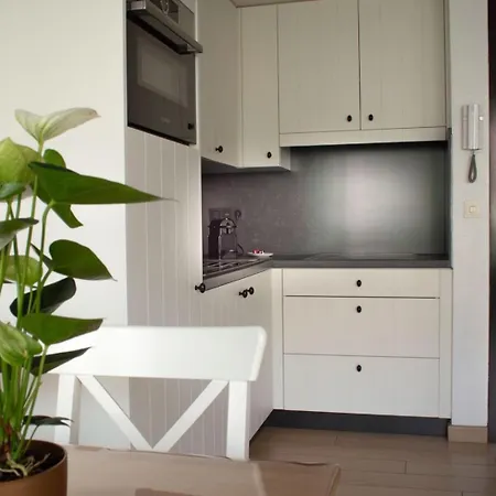 Zilte Bries Apartament *